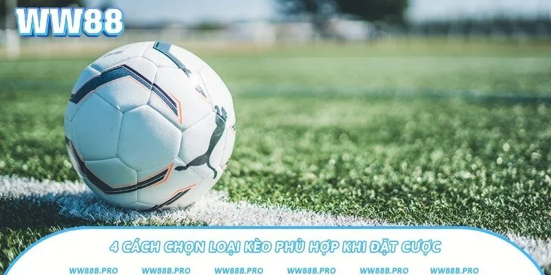 Kinh nghiệm đặt cược hiệu quả từ chuyên gia