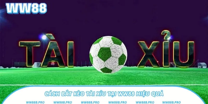 2 cách bắt kèo bóng đá tài xỉu