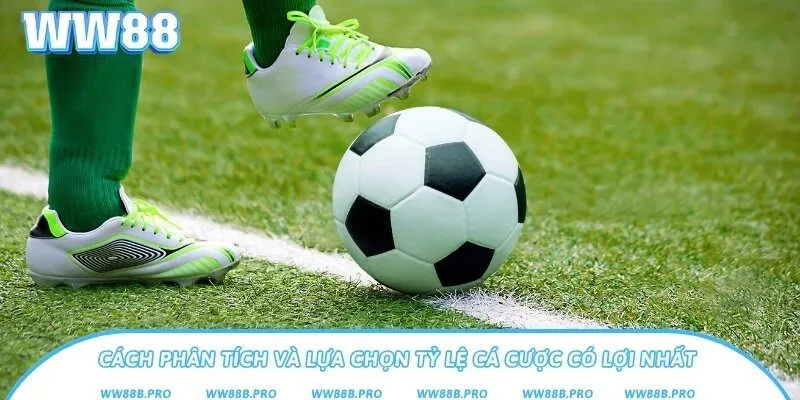 Cách đọc bảng tỷ lệ kèo và cách nhận biết