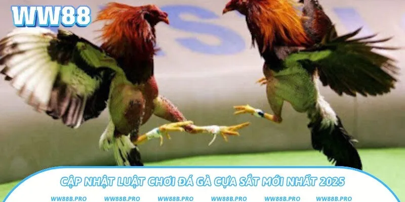 Nắm rõ luật chơi và những quy tắc khác