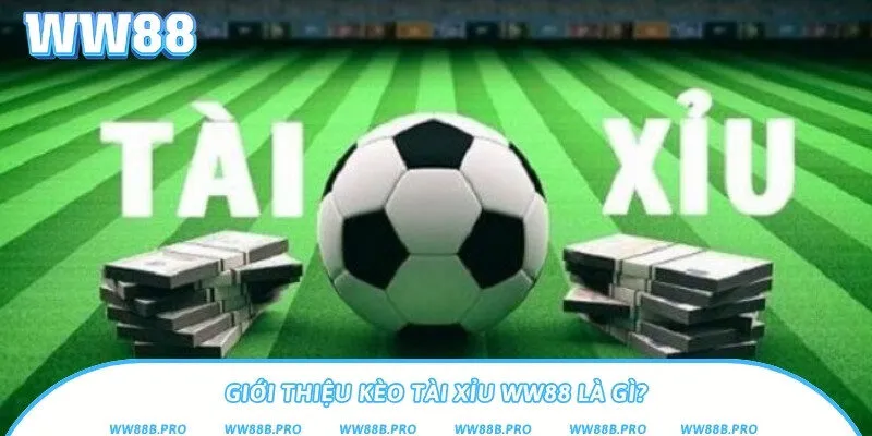 Kèo tài xỉu Ww88 phù hợp với nhiều người chơi thể thao