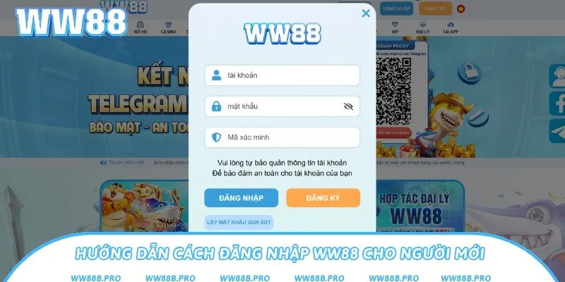 Các bước đăng nhập vào nhà cái đối với người mới