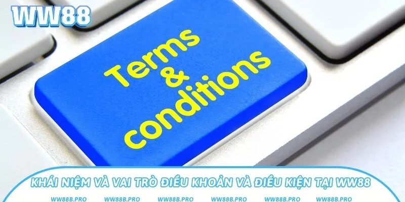 Khái niệm chính sách điều khoản và điều kiện WW88