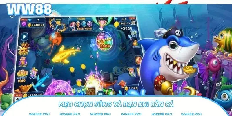 3 mẹo chọn súng mà người mới nên hiểu rõ