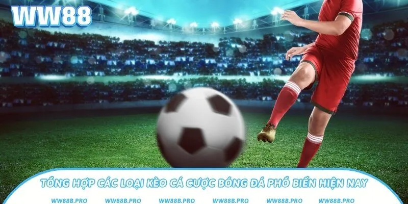 Tổng hợp 4 loại kèo cược bóng đá phổ biến