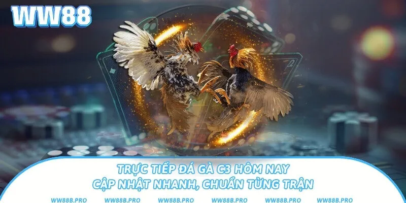 Trực Tiếp Đá Gà C3 Hôm Nay – Cập Nhật Nhanh, Chuẩn Từng Trận